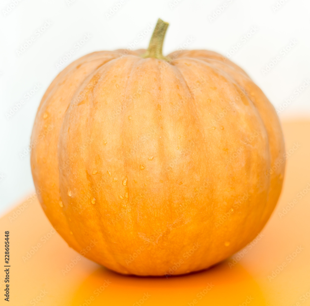 pumpkin on the table pumpkin on the table