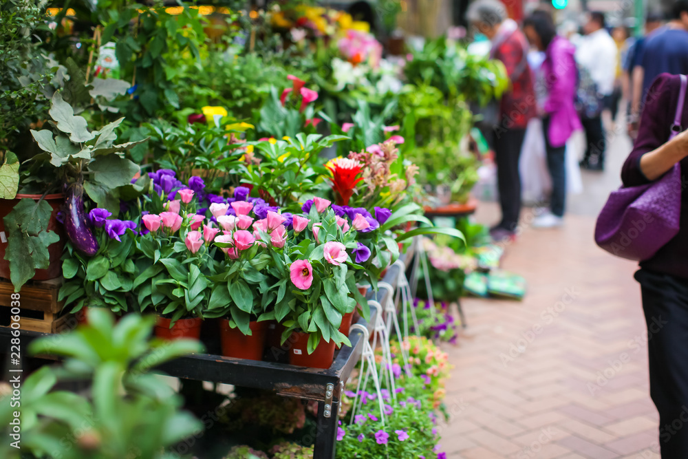 Fototapeta premium Beautiful and tender blossoming fresh eustoma flowers in pots at florist shop in street flower market