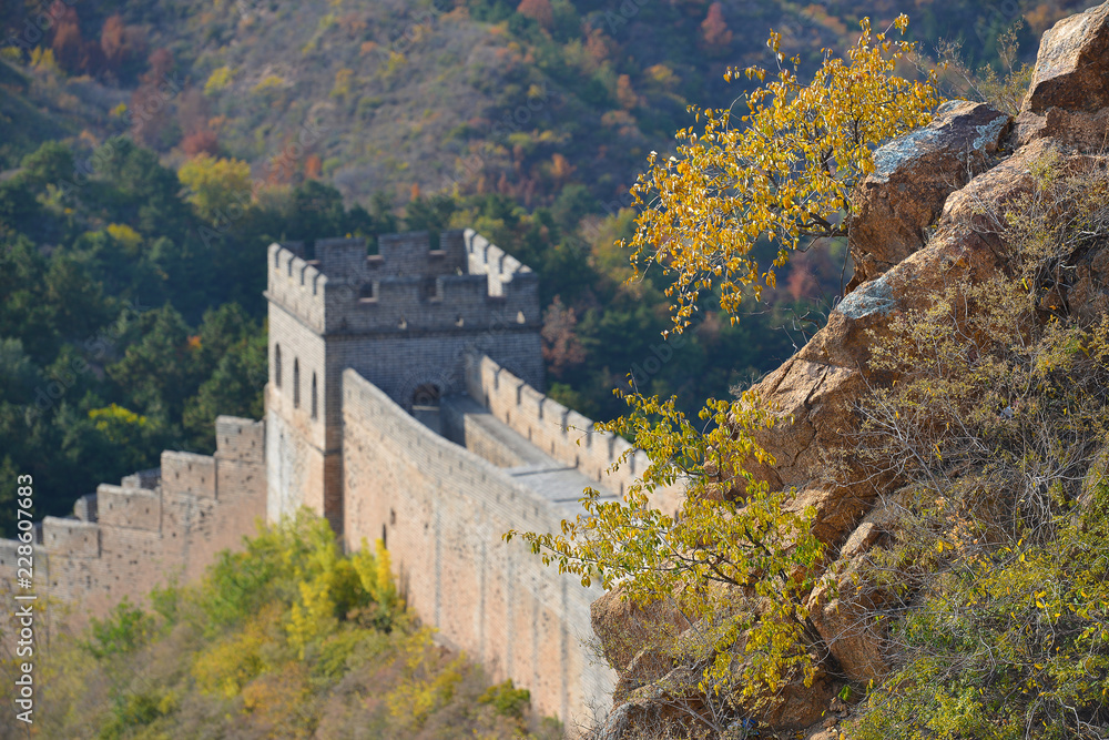 Fototapeta premium The famous great wall of China - Jinshanling section