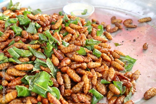Fried insect at street food