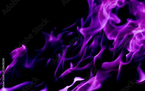 Purple fire flames on a black background