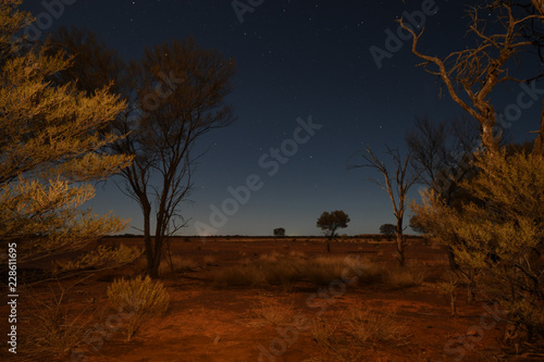 Wallpaper Mural Desert Evening Torontodigital.ca