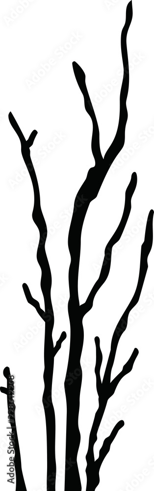 Fototapeta premium Japsnese Red Plum tree