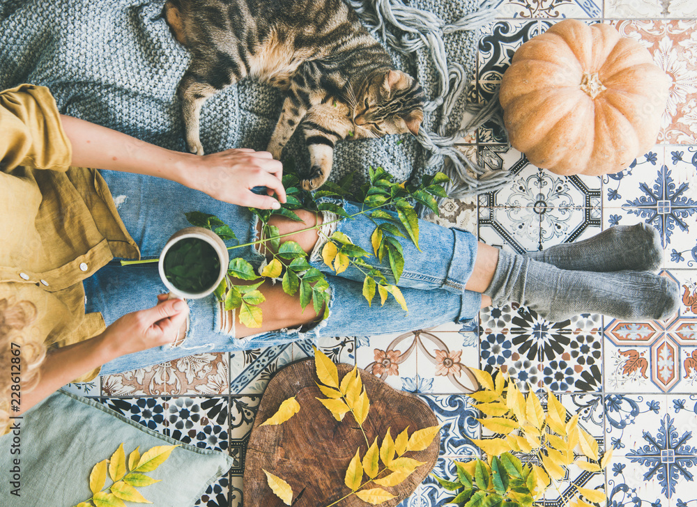 Autumn or Fall balcony tea time. Flat-lay of female sitting on colorful tiled floor and drinking herbal tea, cat, fallen leaves, warm blanket and pumpkin, top view. Autumn mood concept - obrazy, fototapety, plakaty 