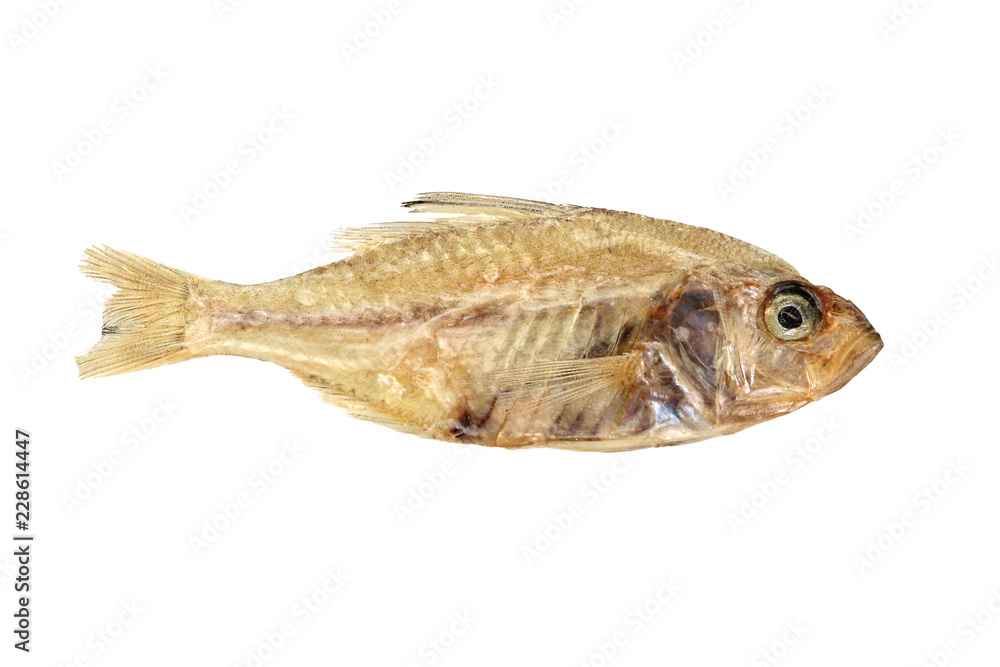 Dried fishes isolated on white background Dried fishes isolated on white background