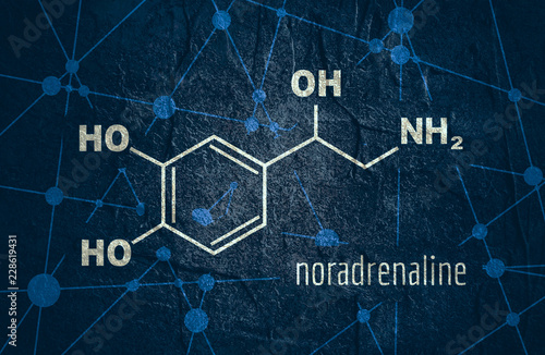 Chemical molecular formula hormone noradrenaline. Infographics illustration. photo