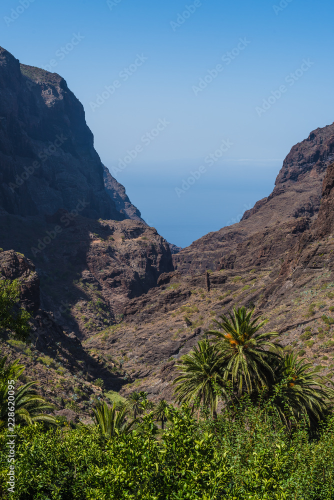 Stunning view of the gorge and the village of Masca.Tenerife. Canary Islands..Spain Stunning view of the gorge and the village of Masca.Tenerife. Canary Islands..Spain
