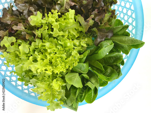 Vegetable salad in a plate placed on a white background.