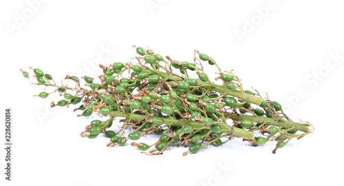 Galangal seed , The result of tonka , Galangal on white background