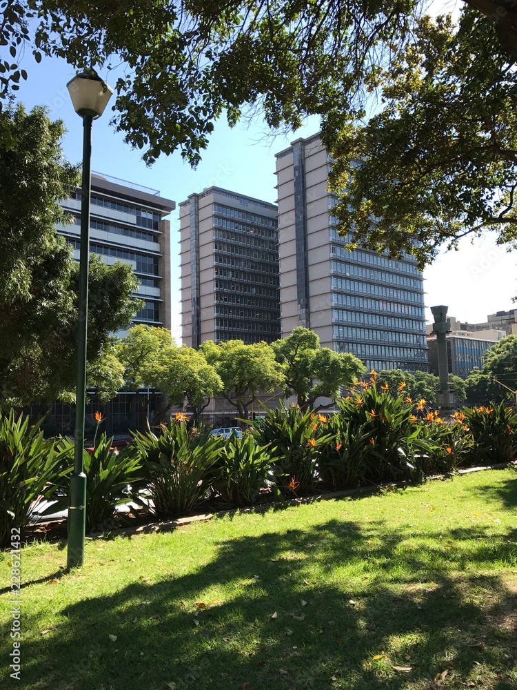 Nature and Building Backdrop