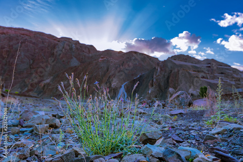 Beautiful natural landscape with mountains and Indus river at Alchi village, Ladakh India. photo