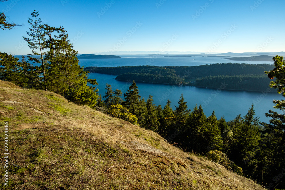 view of the far away island by the sea from the slop of forest covered mountain top