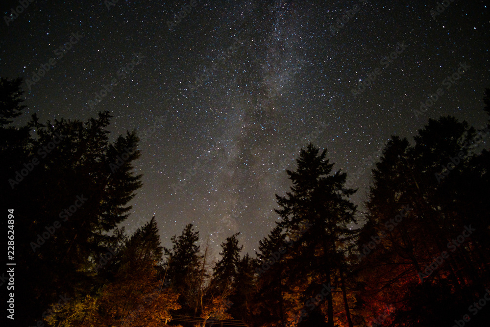 milky way rise above the forest at night