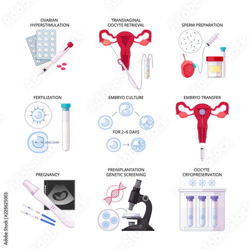 Flat In Vitro Fertilization IVF Icon Set