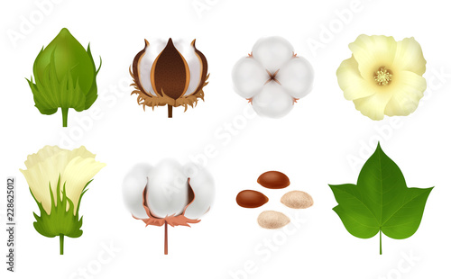 Cotton Realistic Icon Set