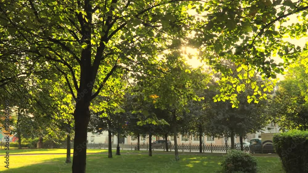 Walk in park on sunny summer day. Sun lights up foliage of trees. Steadicam shot Walk in park on sunny summer day. Sun lights up foliage of trees. Steadicam shot