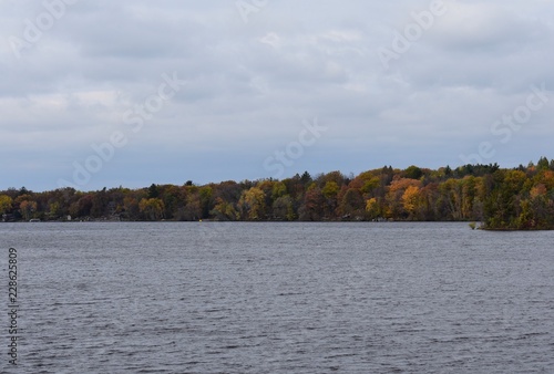 Autumn trees around the lake