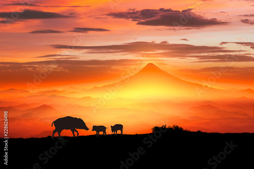 Fototapeta Naklejka Na Ścianę i Meble -  富士山の日の出とイノシシのシルエット