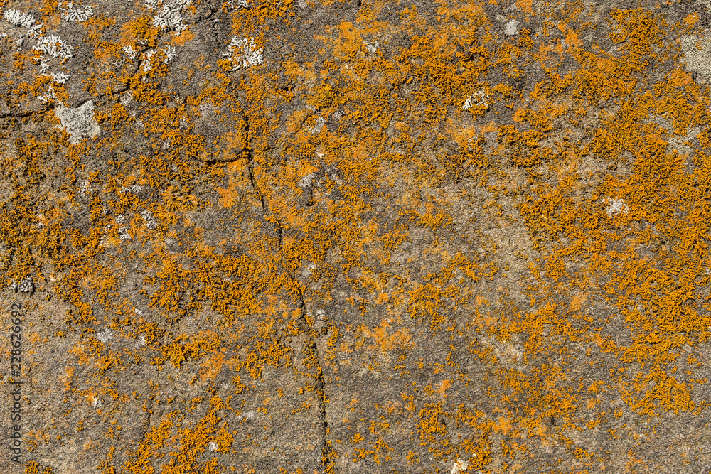rock surface texture with orange colour from metal deposit rock surface texture with orange colour from metal deposit