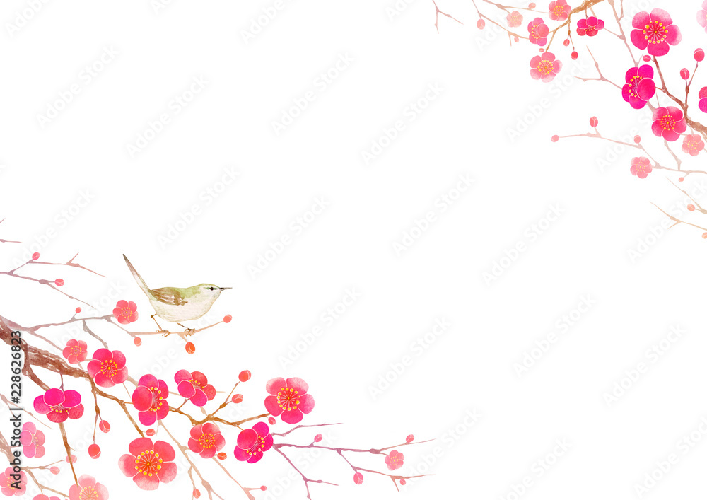 梅の花 寒中見舞い 年賀状 背景 水彩 イラスト Stock Illustration Adobe Stock