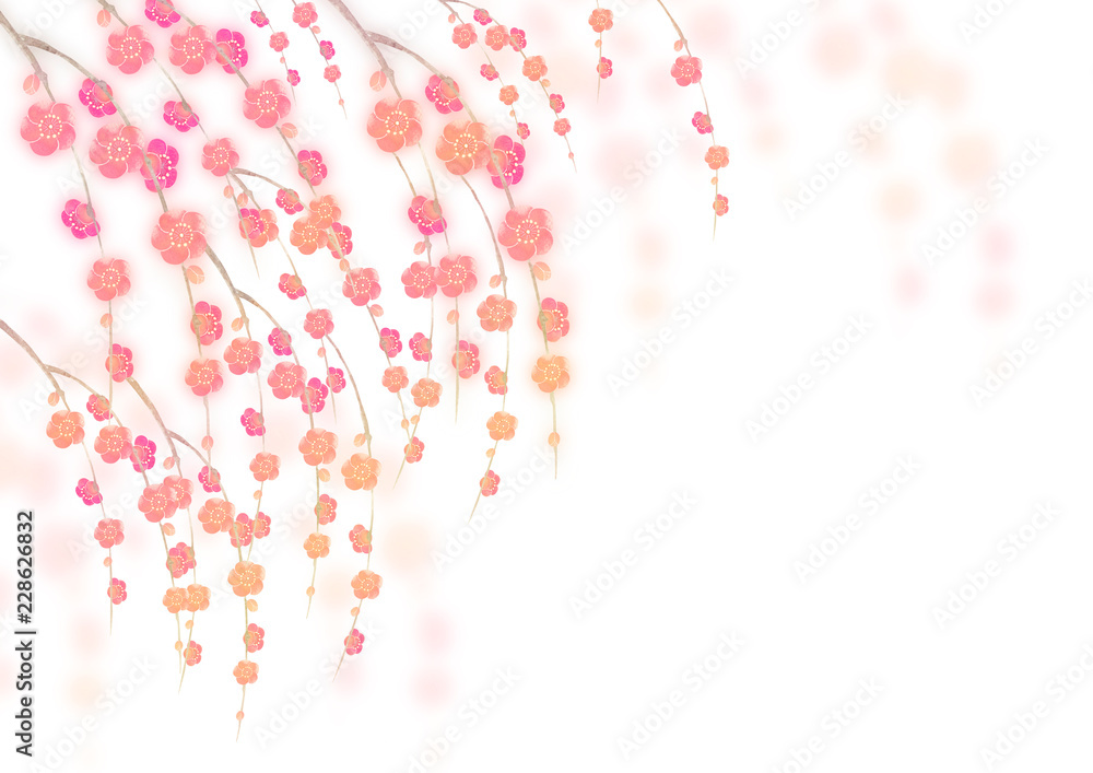 梅の花 寒中見舞い 年賀状 背景 水彩 イラスト Stock Illustration Adobe Stock