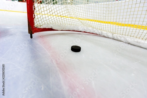 Photography Hockey Net with Puck in Goal