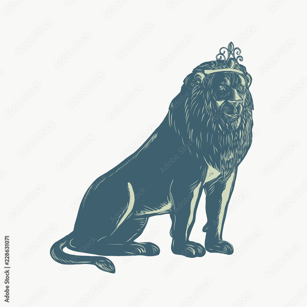 Lion Wearing Tiara Sitting Scratchboard Lion Wearing Tiara Sitting Scratchboard