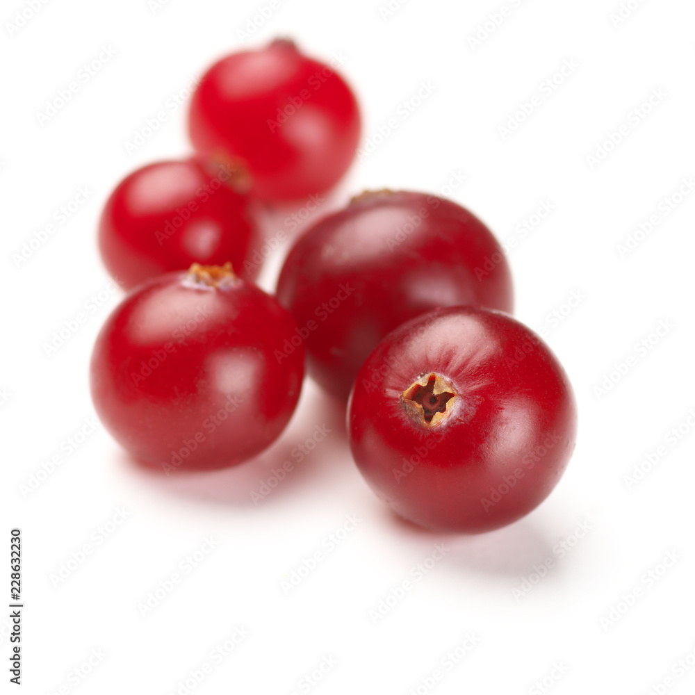 Cranberries close-up on white Cranberries close-up on white