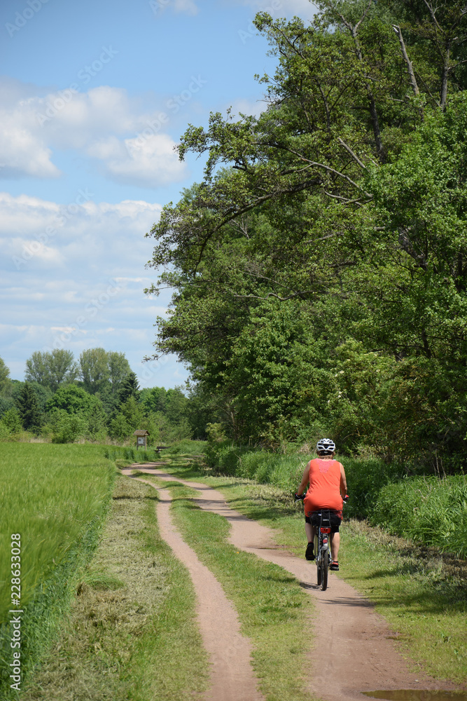 Fototapeta premium Radfahren bei Münster, Hessen