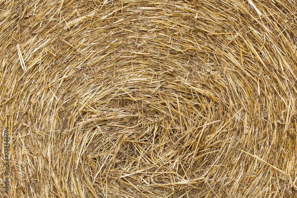 Roll of hay can be used as background Roll of hay can be used as background