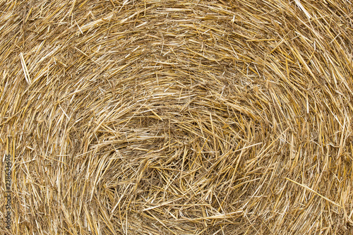 Roll of hay can be used as background