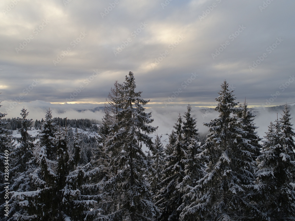 aerial view of fresh snow covered winter forest in high mountains in sunset on christmas eve aerial view of fresh snow covered winter forest in high mountains in sunset on christmas eve