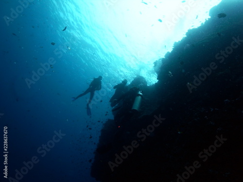 Silhouette of scuba diver group in Blue Sea at one of the famous walls in the Waters of Bunaken Island  Diving Bunaken  Indonesia.
