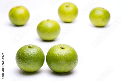 白バックのカボス