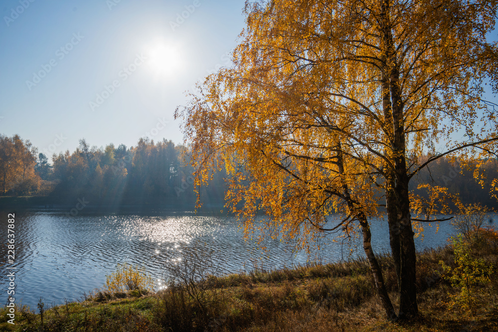 Fototapeta premium autumn landscape with lake and trees