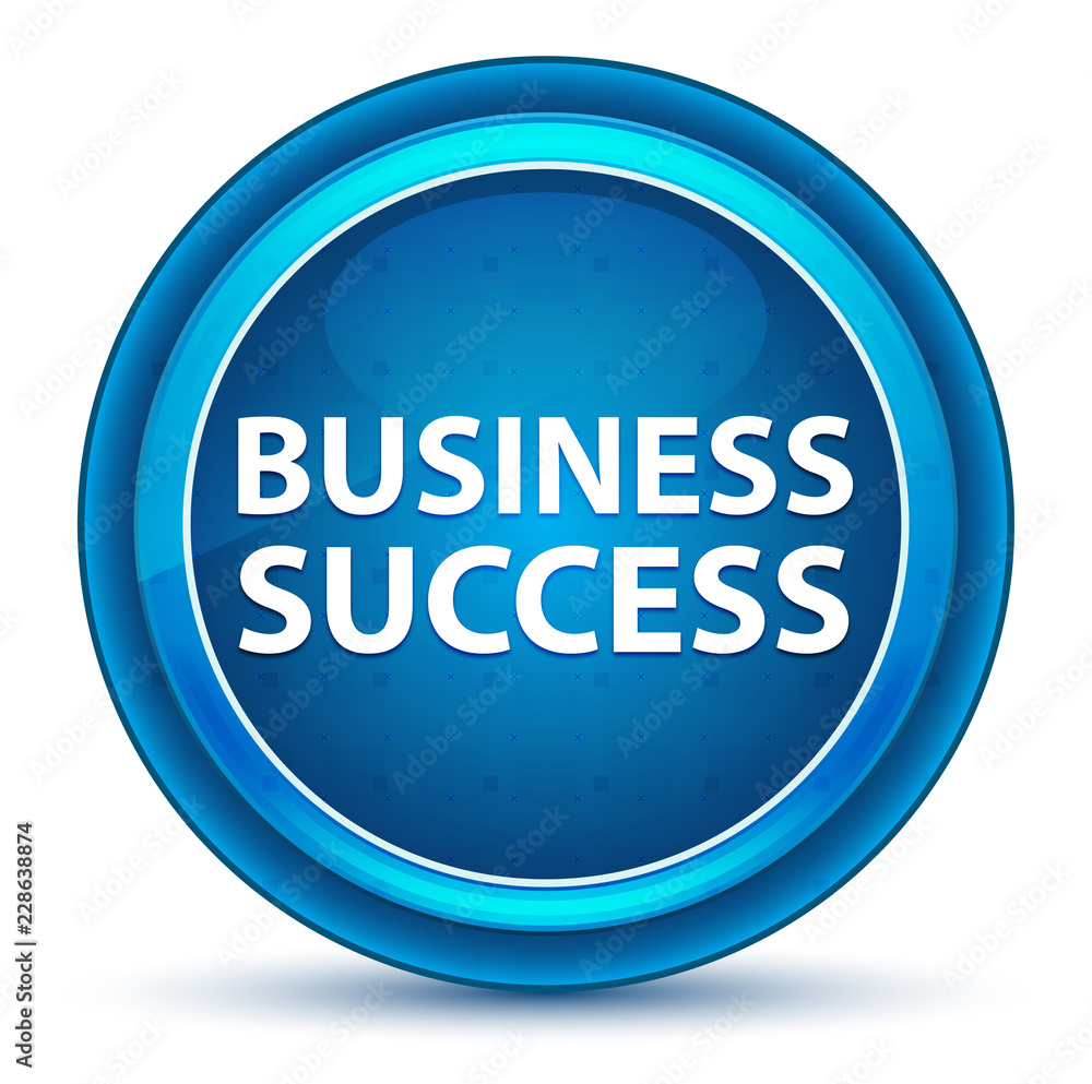 Business Success Eyeball Blue Round Button Business Success Eyeball Blue Round Button