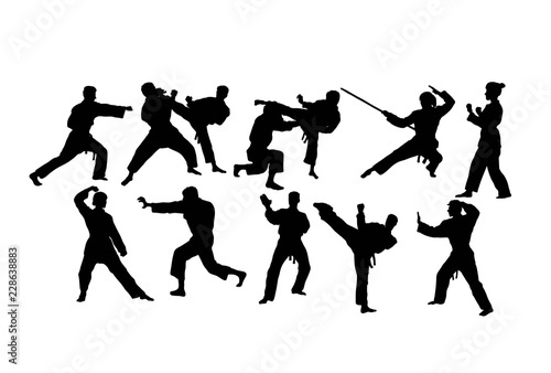Karate Sport Activity Silhouettes, art vector design