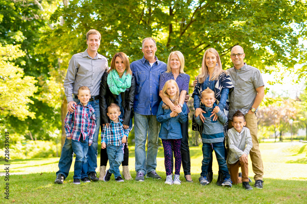 A Family and multi-generation mother, father, children and grandmother having fun on meadow in summer A Family and multi-generation mother, father, children and grandmother having fun on meadow in summer