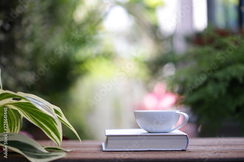 White cup with plant and notebooks