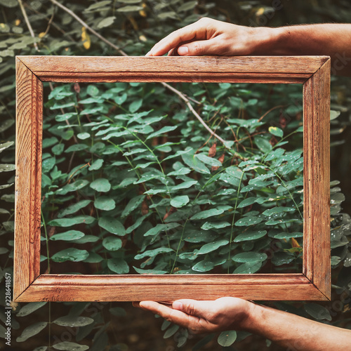 Two hands cut wooden brown frame in the foliage, green background, flat lay, daylight photo