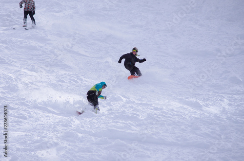 glisse hiver - snowboard en poudreuse