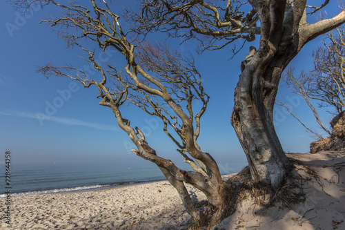 weststrand darß