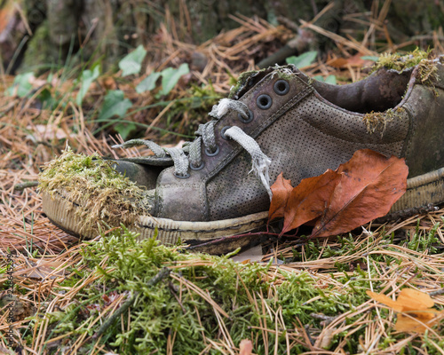 The old shoe and the brown leaf