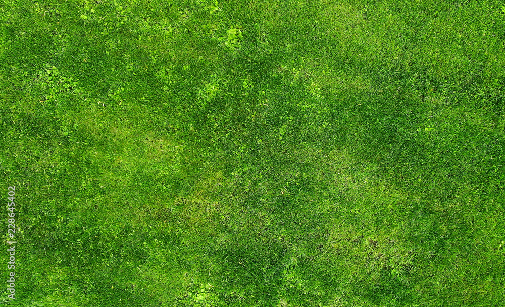 Aerial. Green grass texture backdrop. Stock Photo | Adobe Stock