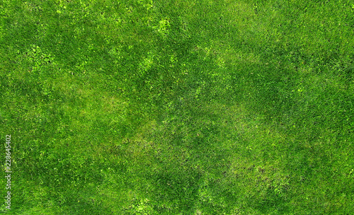 Aerial. Green grass texture backdrop.