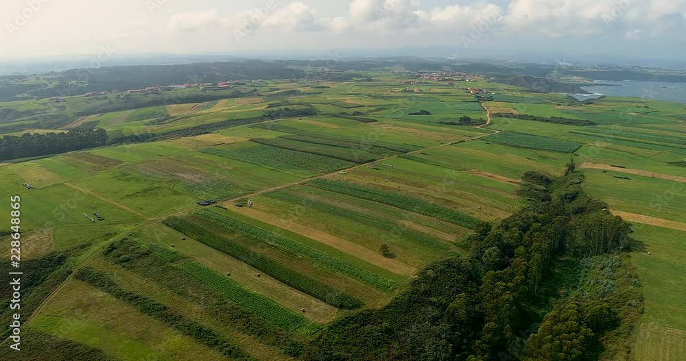Flying over a long field os pastures surrounded by nature Flying over a long field os pastures surrounded by nature