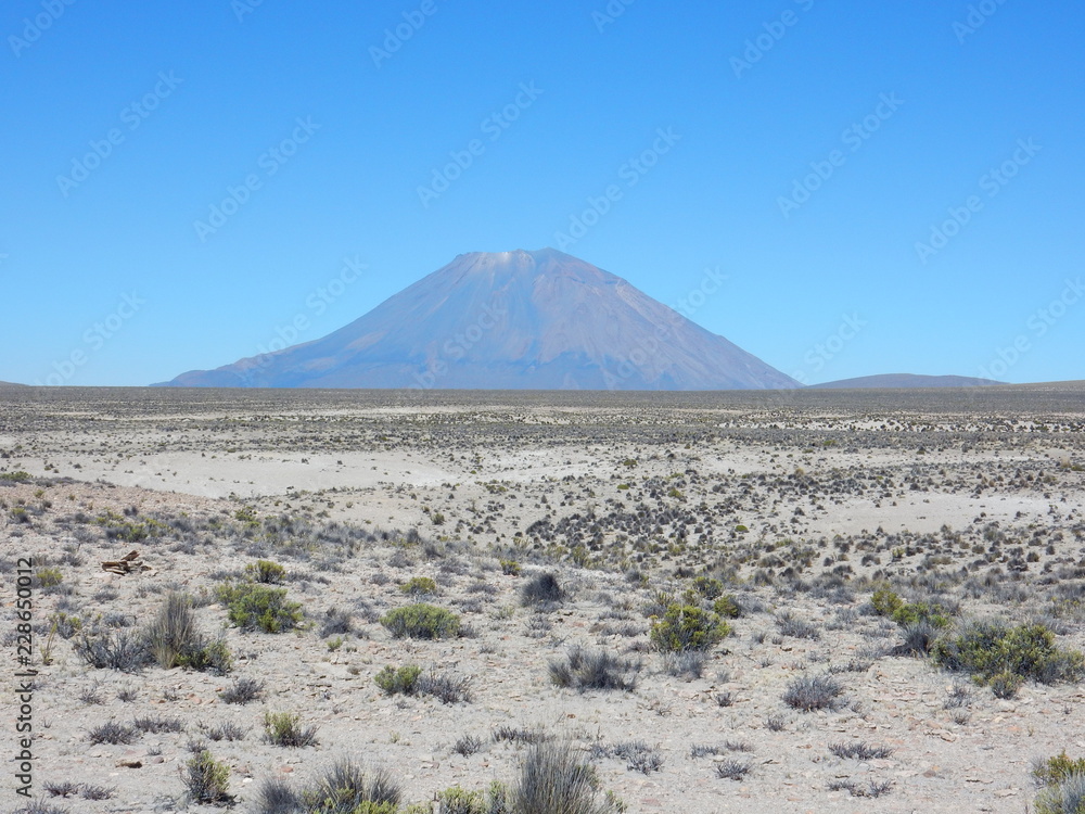 Salinas y Aguada Blanca National Reserve near Arequipa, with Misti volcano, Peru