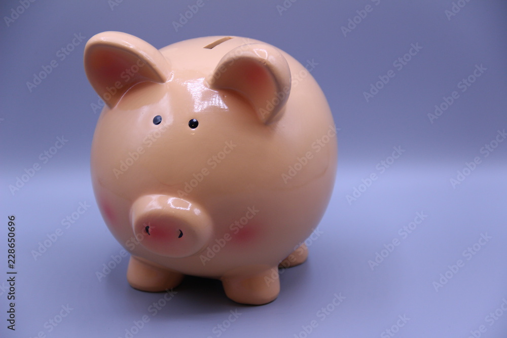 Piggy bank with savings