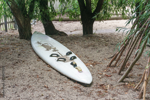 surfboard lying under the trees on the beach - symbol for summer and fun on the beach © Otto