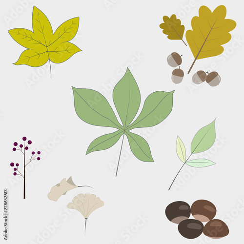 Set of flat design autumn icons 02